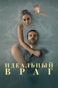 Идеальный враг 